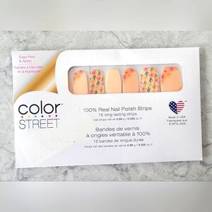 Color Street "Desert Flora", New in Packaging